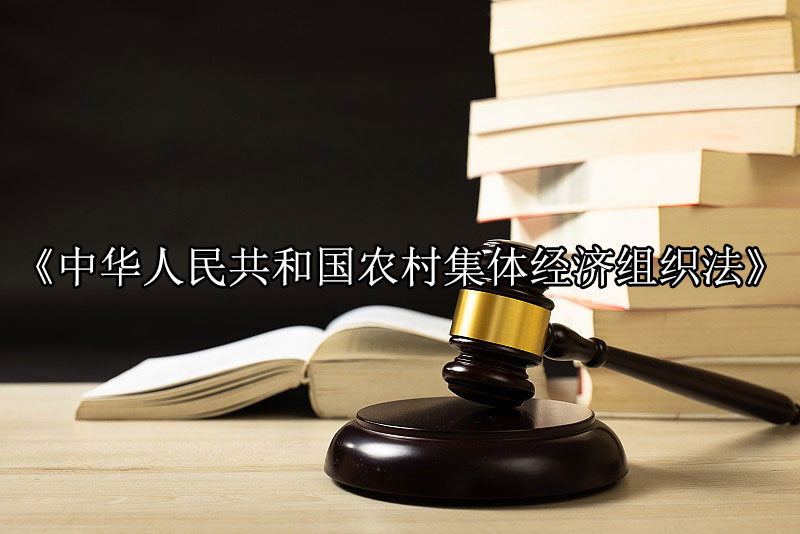 1747319465-b3e13e102c8fa58a3e9aa0fa10a81daa