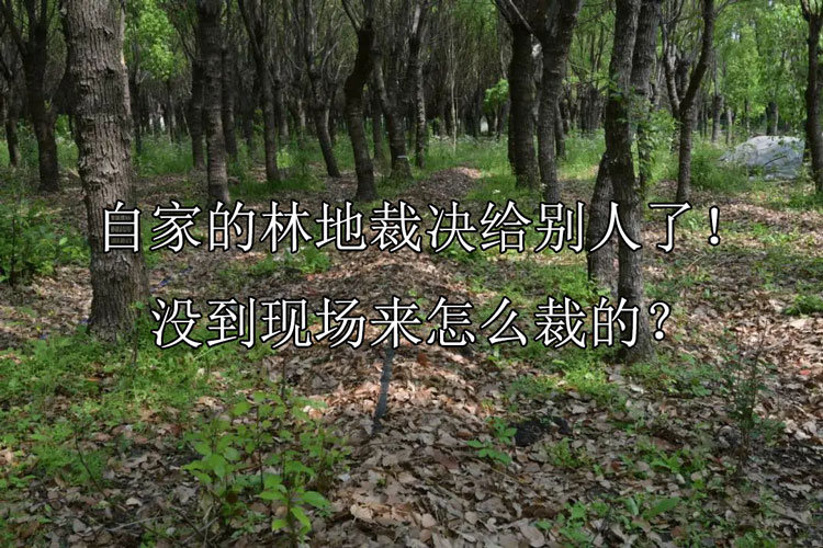 1749624329-b7f92283fef653ad109872de4df4672b