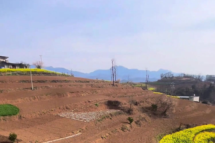 1750151093-17f4945798273f1957a15eb20a73a852