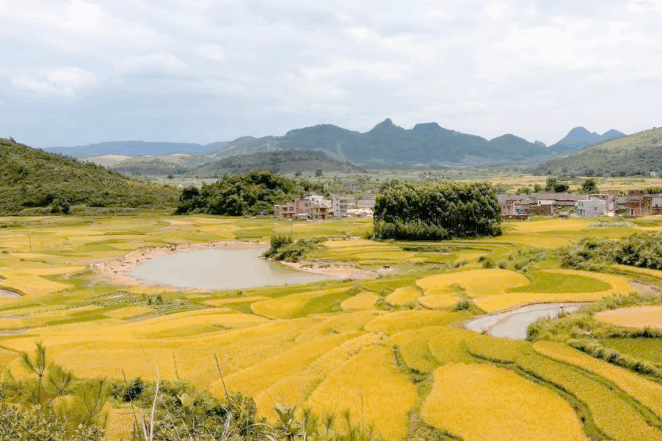1751261860-湖南东阳渡街道太山村:征地程序是否履行《衡阳市集体土地征收办法》预公告要求?