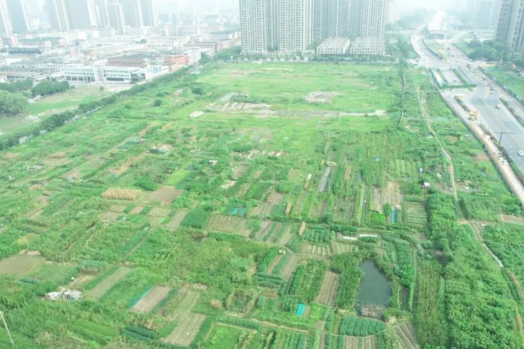 1751433953-上海临港新片区万祥镇,成片征收区域的“留用地安置”政策为何未落实?