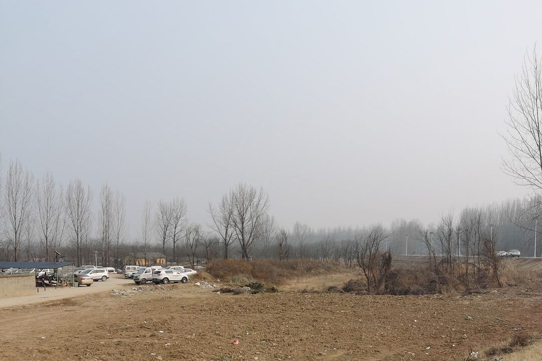 1753424866-626139457616239030c1e9373f8193a9