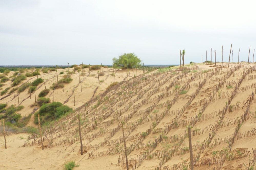 1754289287-10d33e4cbdab17aa48297ccdd4ceff48