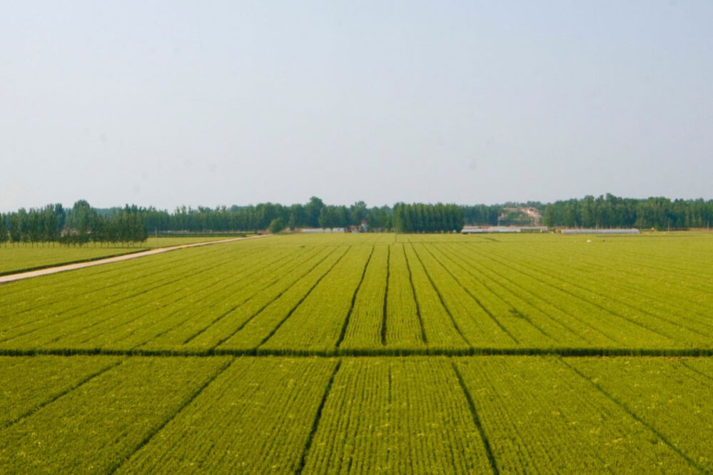 1754464880-0b3b7868a78f598d81232a4c3d0e17a2