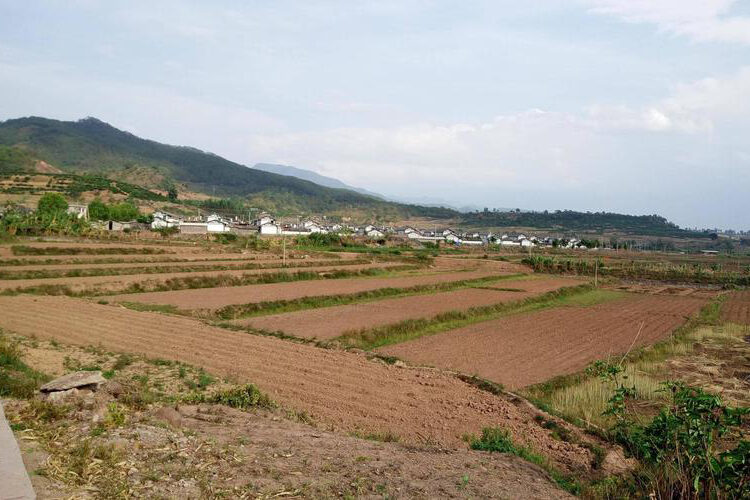 1755151565-80605e52f9e569f596f9da745773abd7