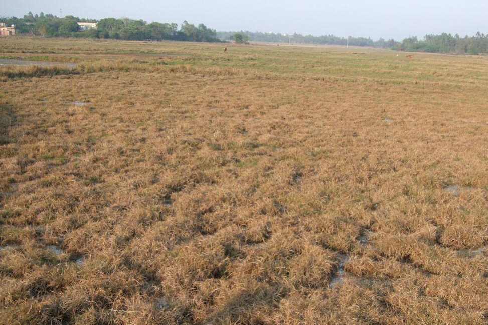 1755152065-8449ea26dce1e444ef3d3c0a9a4f1b38