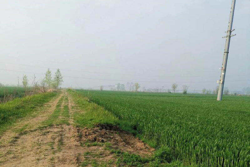 1756176663-95493aae67d9db2fd9194e63ee34be14