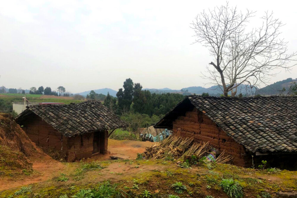 1756966660-d8f0d7528f8f8c254d356526944d9a2b