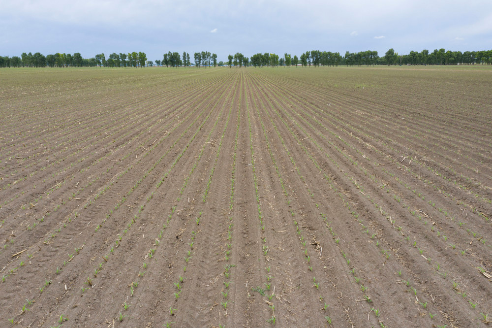 1757483690-a1f0ce79e5959146b2cdf7fd56f33da5