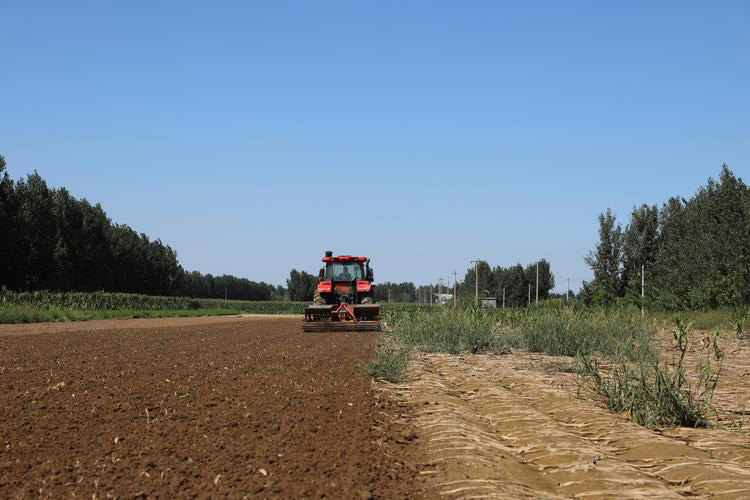 1757575665-f750f31287474830ed96f737c3874aa5