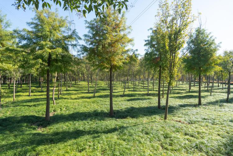 1757669745-cacd3877624ebe9b026ff85140dbd30c