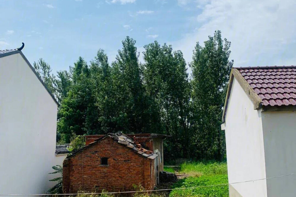 1758097315-f081455d0a57fc590c9c7f95f8e44ed3