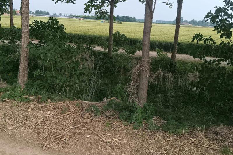 1758692509-762d1411708a1fec715dd758cf2164c6