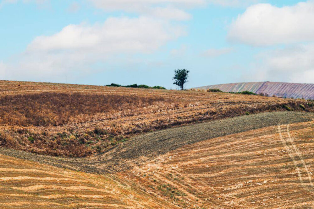 1758769294-44c5fe874fcf470525fed7f0f8fc78de