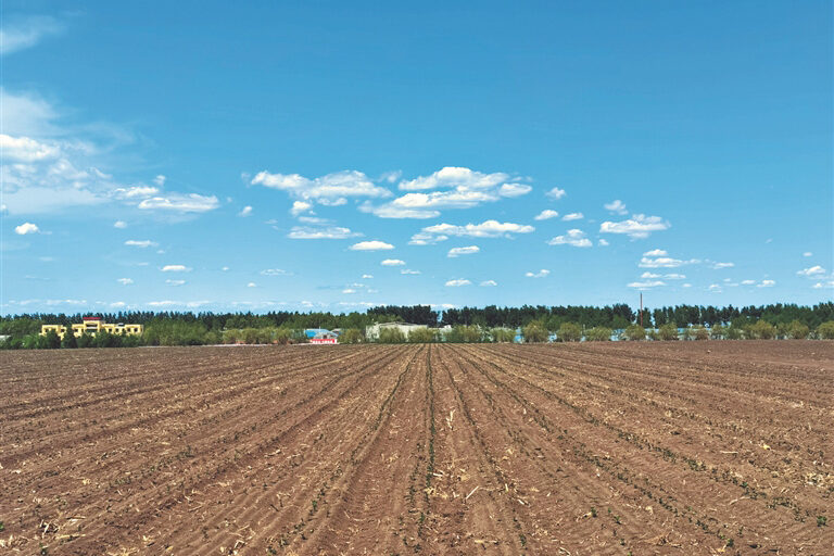 1758772140-fcb946e1335cf7c8a89d96e57cf99645