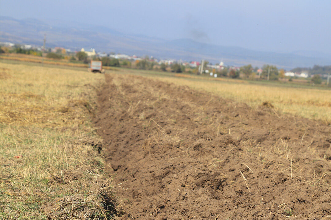 1760148239-938a4e8b4f9de8b523d690d35851474b