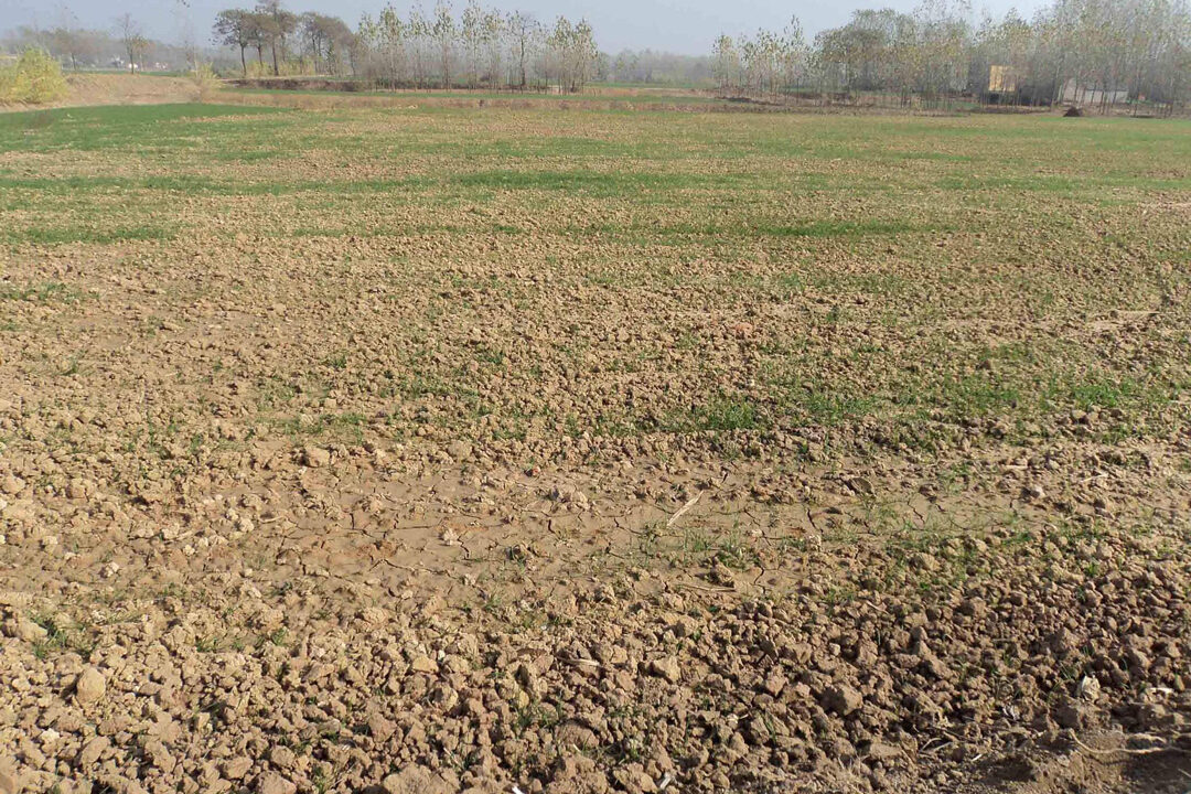 1760154746-25c9fb611d6ee4598b08c00a79fbd91c