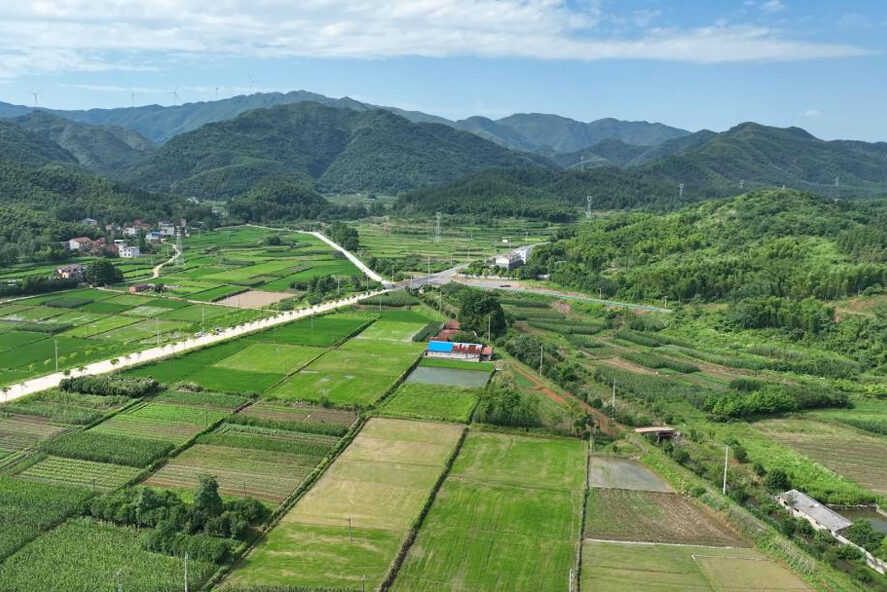 1760520039-e4dfd25e8a42222fab3fce980cd29ba9