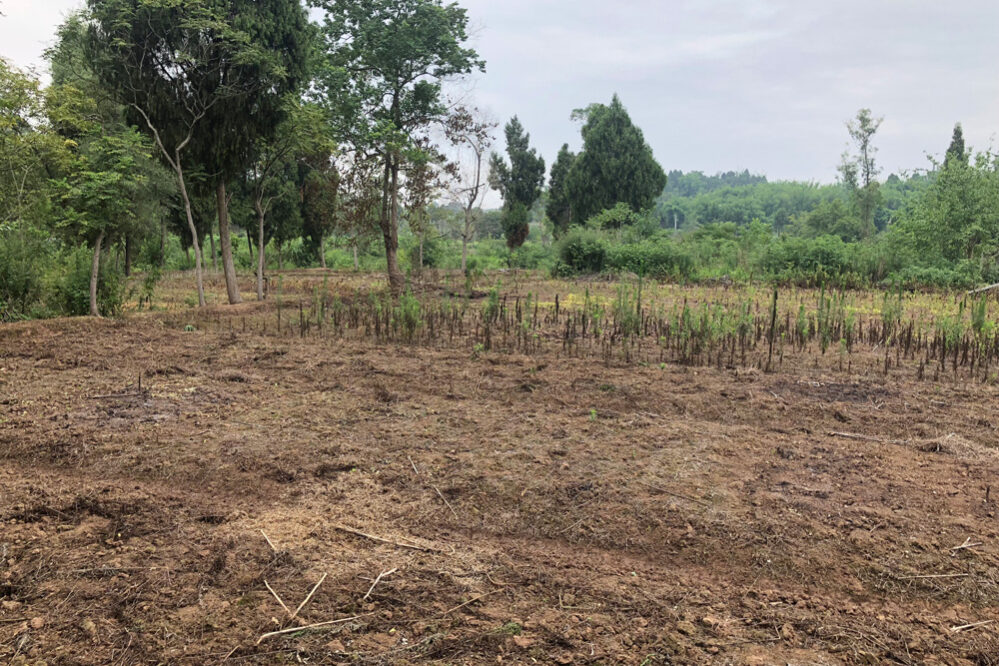 1761032722-5d29b7e5ddfd2f9ec90a6f329e5492bd