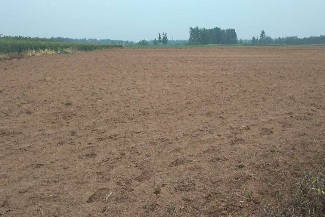 1761814325-9d725bf834a817f26ddf6feb01dce9aa