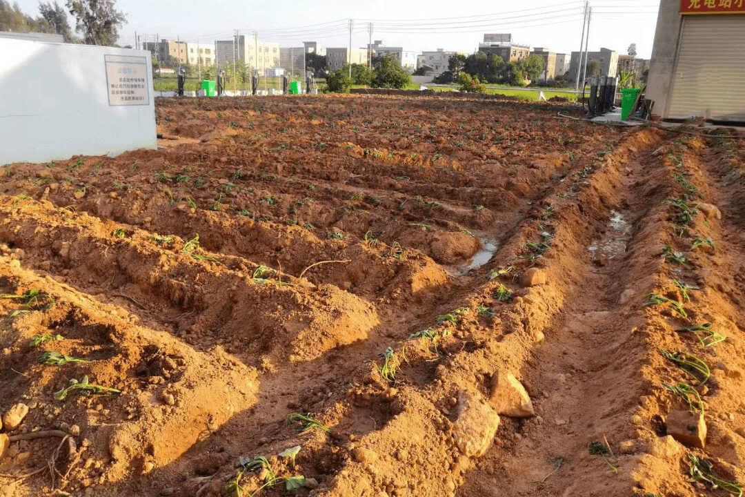 1762234825-5632ac251fe19c1d3c9bd00d533e7b03