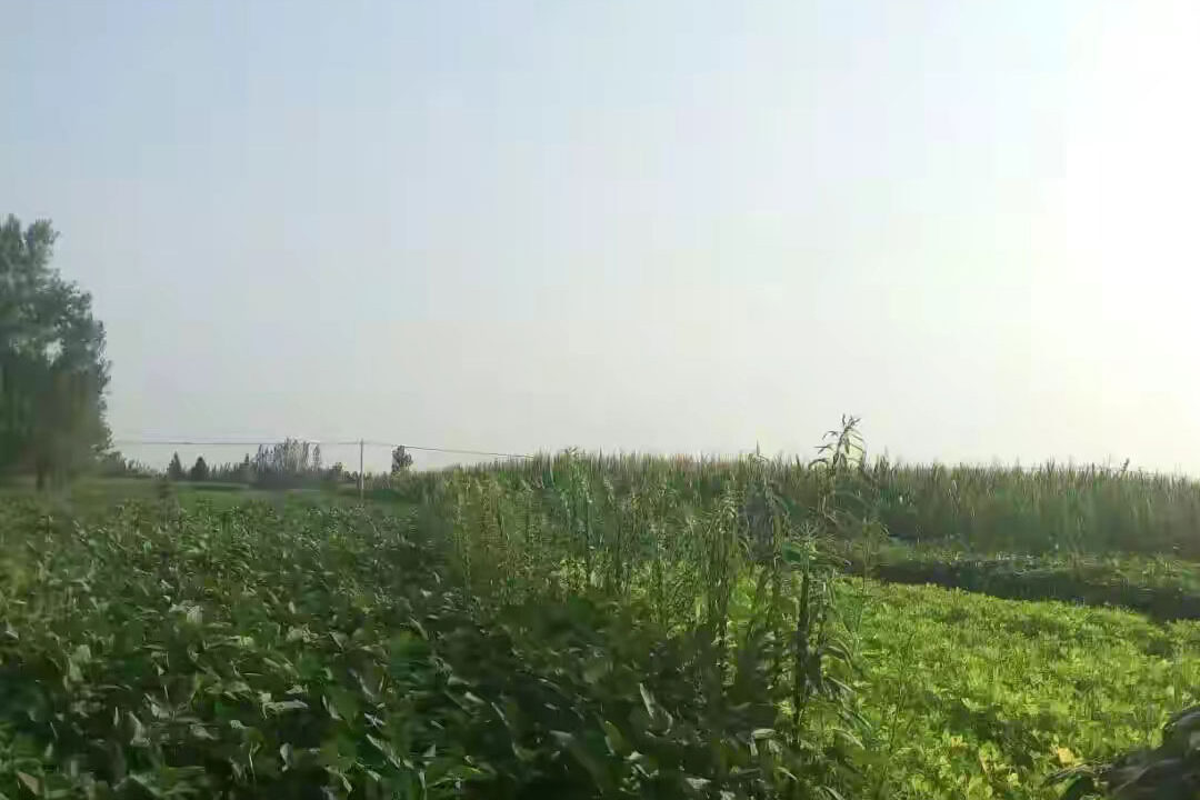 1762412865-a9e7e4814996e0720c6cf3f8c49c0ad0