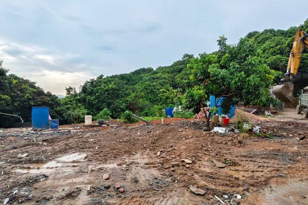 1762850267-fe03ae9d52fe69dcf9fc02acc6a9e3d3