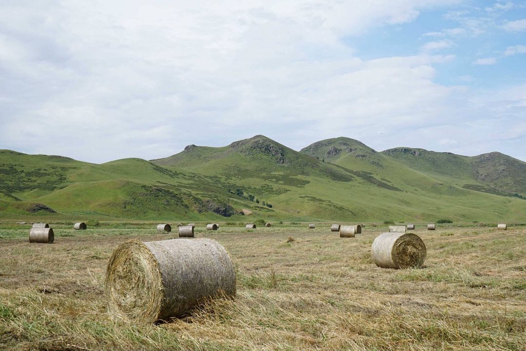 1763539077-dbd1f593f8f96c366167ba1ff3232dc5