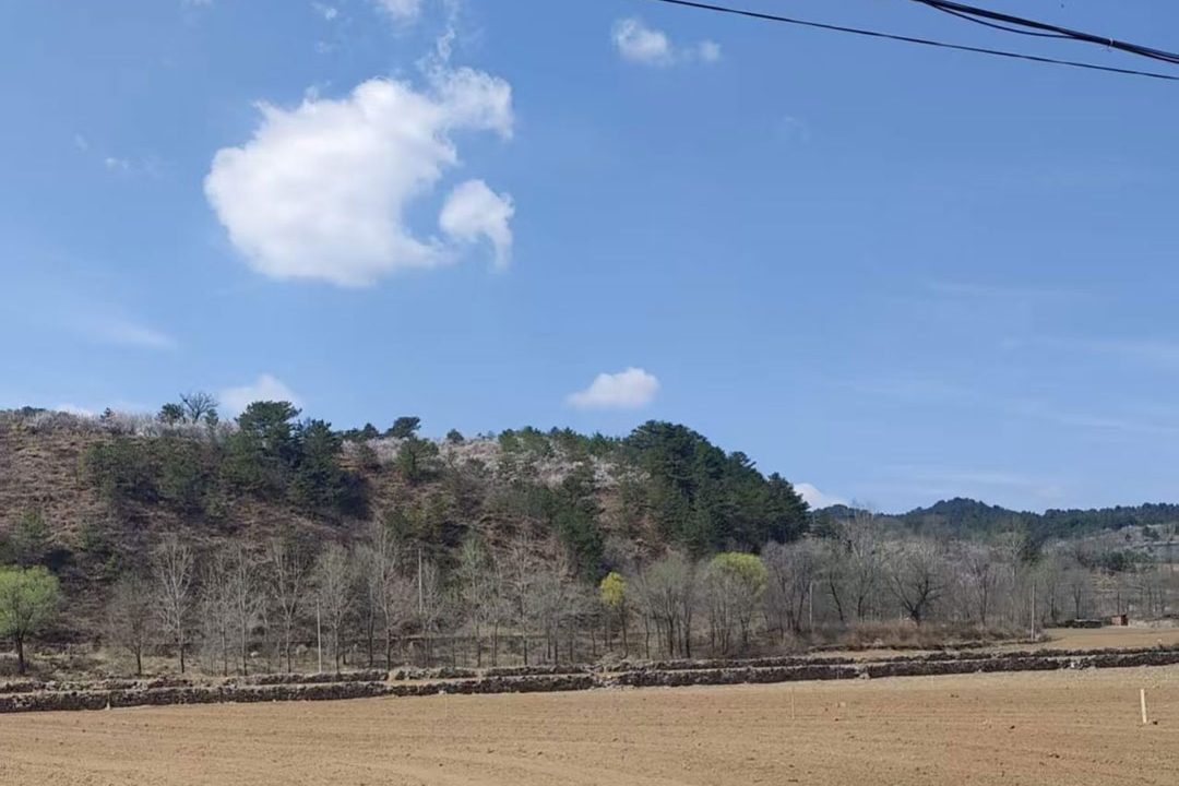 1764224092-1cbdf0fe982850913ff5f4707ae584b7