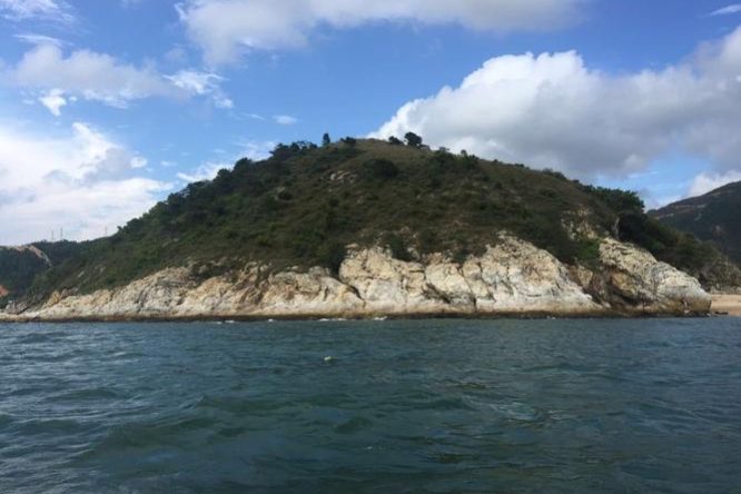 1767752280-4ada9e1948f89a10ee92bf0d44c51de1