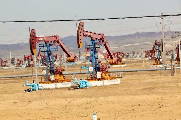 1770604070-292f4b1e1044c5e1e3a5c14f55eefbb6