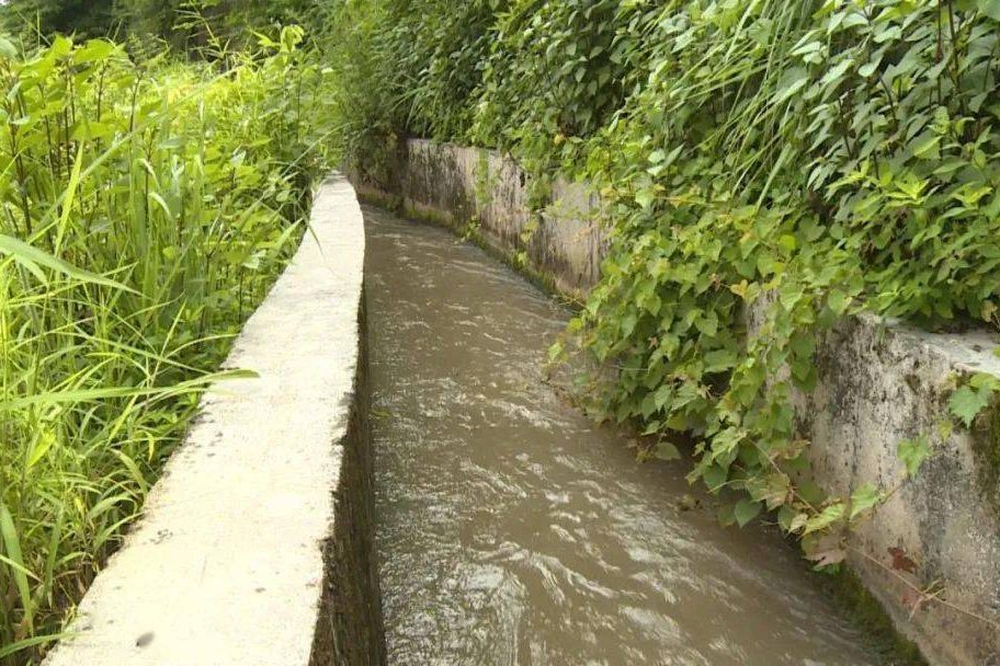 1773299634-4604c15238e638294a5939db57bf1993