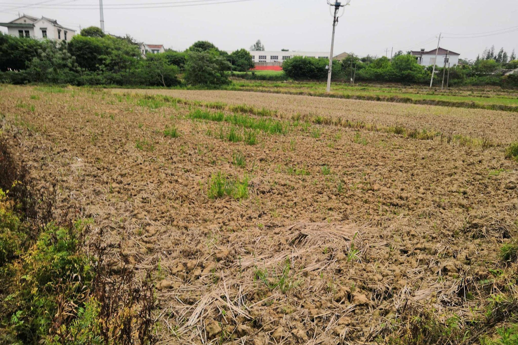 1773299642-5c333c8ec6c016f9eb3d3cdd41917978