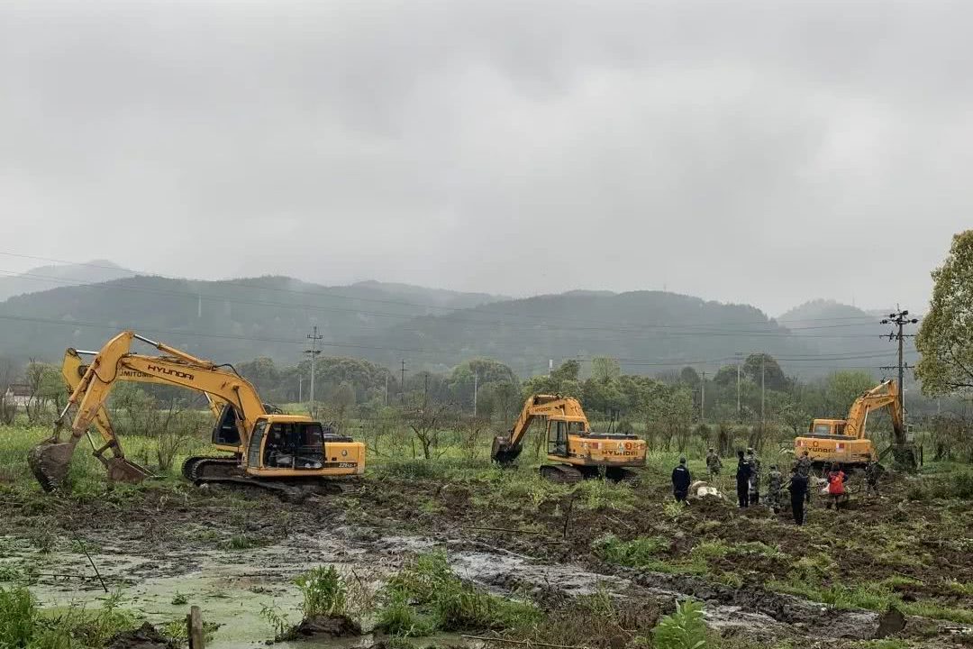 1773716150-f74b93b38b38dee270c91abce11bcd2c