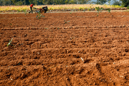 1774838197-c37d21043fe45f5a6c47f8cdb25c970d