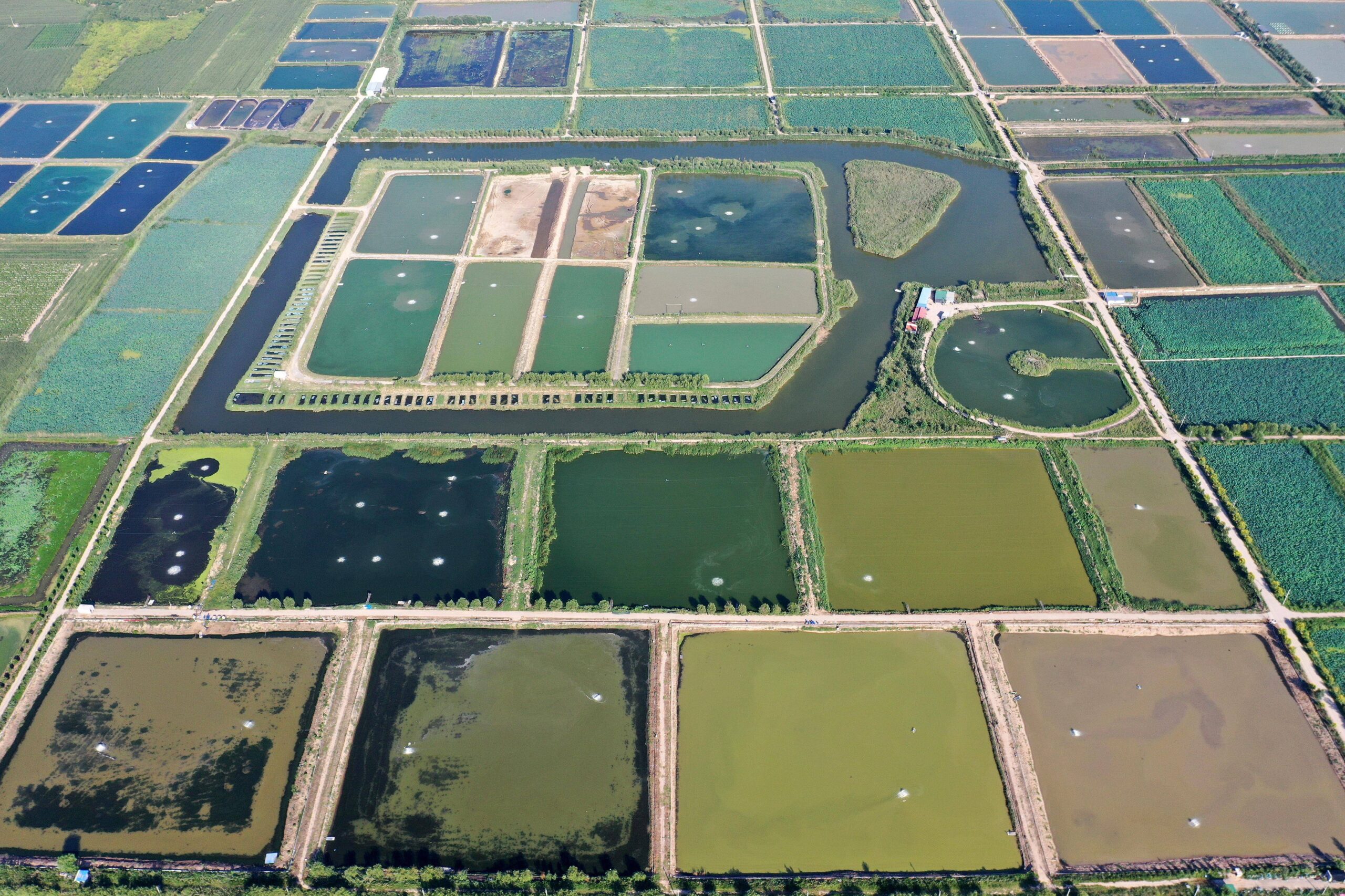 1775704816-86b3a82fd079f857596150e136470709